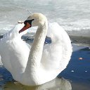 ���� ������, �����-���������, 64 ���� - ��������� 24 ���� 2015