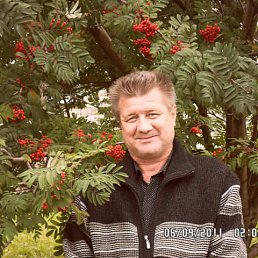 �������, ����������, 67 ���