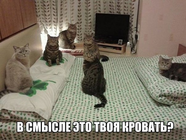 ������������ ���� - 10 ���� 2015 � 21:52