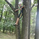 ���� Pool, �������, 33 ���� - ��������� 6 ��� 2015