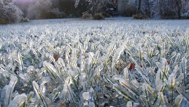 10 фактов о природных аномалиях.1. В Китае есть река с водопадом, который не замерзает зимой при ...