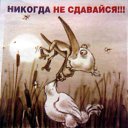 ���� �������, ������, 54 ���� - ��������� 10 ��� 2015 � ������ ���� ���λ