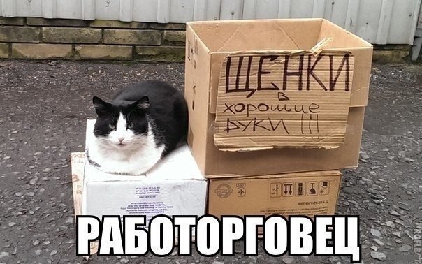 ������������ ���� - 9 ���� 2015 � 22:39