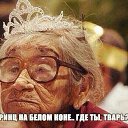 ���� ��������, �����������, 59 ��� - ��������� 2 ��� 2015 � ������ ������ ��������