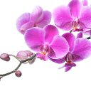 ���� ������, ��� - ��������� 16 �������� 2015 � ������ ������ ��������