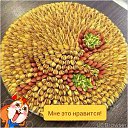 ���� ������, ���������, 49 ��� - ��������� 20 ���� 2015 � ������ �����