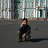 ���� Anvar., �����-���������, 50 ��� - ��������� 16 �������� 2015