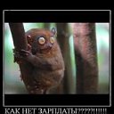 ���� Ssssss, ���� - ��������� 10 ��� 2015 � ������ ���� ����������