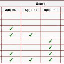 ���� �����, ����-���������, 52 ���� - ��������� 23 �������� 2015 � ������ ������ ��������