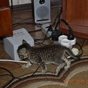���� Pavel2167, ����, 58 ��� - ��������� 21 ���� 2015 � ������ ���� ��������