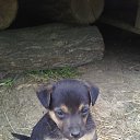 ���� ������, ����, 44 ���� - ��������� 22 ���� 2015 � ������ ������ ��������