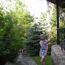 ���� �������, ���������� - ��������� 31 ��� 2015 � ������ ���� ����������