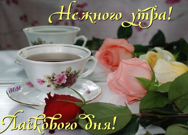 � ������ �����! ����� ���� ���� ���������� ������ �� � ����� ���������� �������, ��� �������� ������ ...
