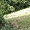 ���� �������, �������, 44 ���� - ��������� 12 ���� 2015 � ������ ���� ����������