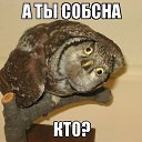 ���� ������, �������������, 61 ��� - ��������� 25 ��� 2015 � ������ ���������