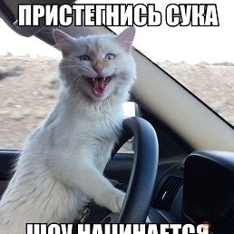 ���� �������, ������, 38 ��� - ��������� 5 ���� 2015