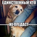  Z S)))))...,  -  17  2015    