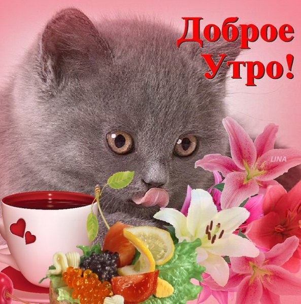   , !