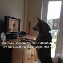  , - -  22  2015    .