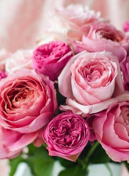     .        .  ,   ... - 2