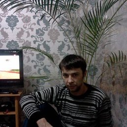 ������, �����������, 46 ���