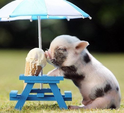 ))))) � ������ ����, ����� ��������� �����))))