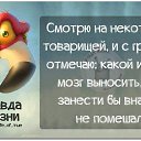 ���� ������, ������ - ��������� 11 ��� 2015 � ������ ������ ��������