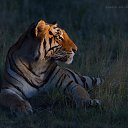 ���� ��������, ������������, 72 ���� - ��������� 9 ������� 2015 � ������ ������ ��������