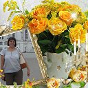 ���� �����, �����, 59 ��� - ��������� 29 ������ 2015 � ������ ������ - ������ �����������