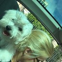 ���� ������( ������!!!), �����, 52 ���� - ��������� 31 ��� 2015 � ������ ���� ����������