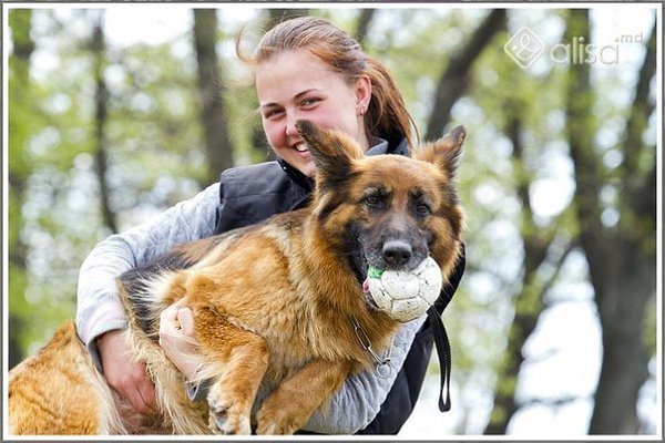 Это не просто пес, который охраняет двор, это моя любимая собака.
