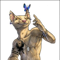 ����, ������������, 37 ���