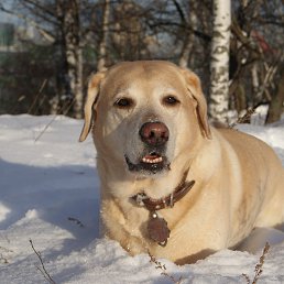 ���� Baltic Sea, ������, 72 ���� - ��������� 17 ���� 2015