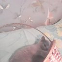 ���� �������, ������� - ��������� 25 ��� 2015 � ������ ���� ����������