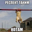 ���� ������, ���������, 43 ���� - ��������� 22 ���� 2015 � ������ �����