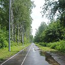 ���� ������, ������, 49 ��� - ��������� 5 ���� 2015 � ������ �����������