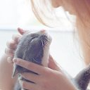 ���� ����, ������, 30 ��� - ��������� 1 ���� 2015