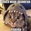 ���� ���, ������ - ��������� 4 ��� 2015 � ������ ������ ��������