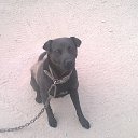 ���� �����, ������, 52 ���� - ��������� 31 ���� 2015 � ������ ���� ,,�����,,�
