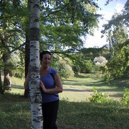 ������, ���������, 81 ���