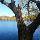  Milosh - Ne Golosuju, , 67  -  5  2015    