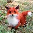 ���� �������, ��������, 48 ��� - ��������� 23 �������� 2015 � ������ ���� ����������