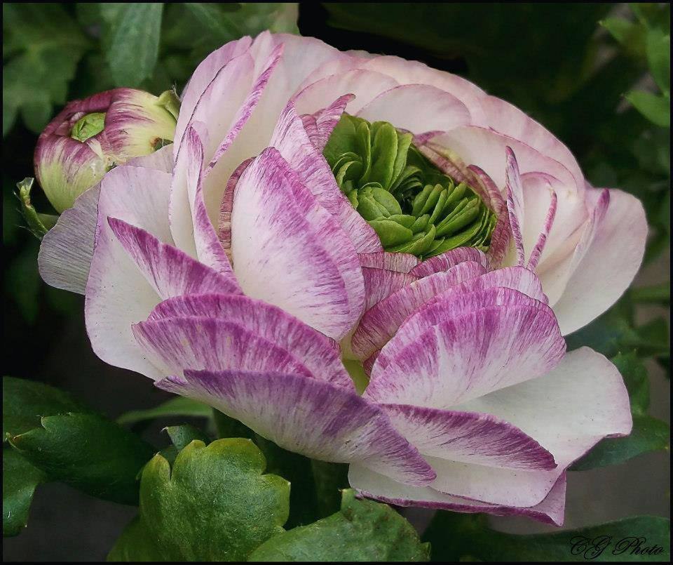 ���� - 25 ��� 2015 � 21:45