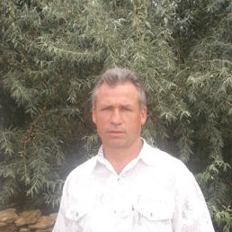 ���, ������, 54 ����