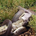 ���� �������, ����������, 49 ��� - ��������� 6 ���� 2015 � ������ ������ ��������