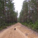 ���� ����������, �����-��������� - ��������� 28 ���� 2015 � ������ ����� 2015�