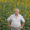 ���� ������, �������, 67 ��� - ��������� 6 ���� 2015