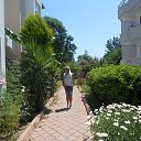 ������,�����,���� 2015. �� ������� ���� ����������