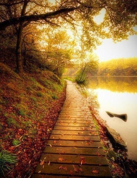     ,           . ... - 4