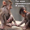 ���� ��������, �����������, 59 ��� - ��������� 16 ������� 2015 � ������ ������ ��������